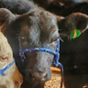 Meet your Posher, Kaci